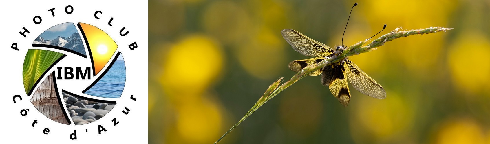 Photo Club IBM Côte d Azur